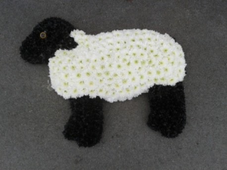 Sheep Tribute