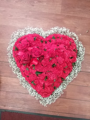 red carnation gypsy heart