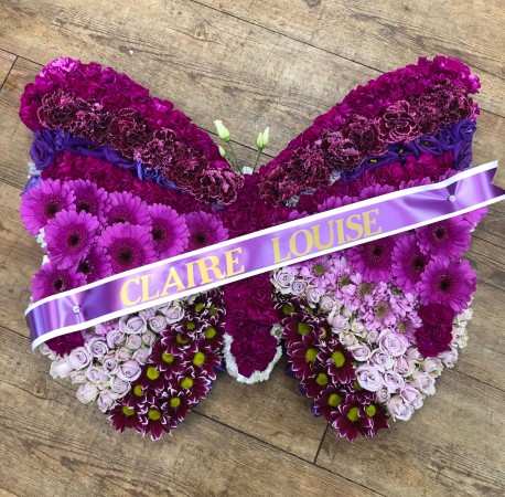 Purple butterfly
