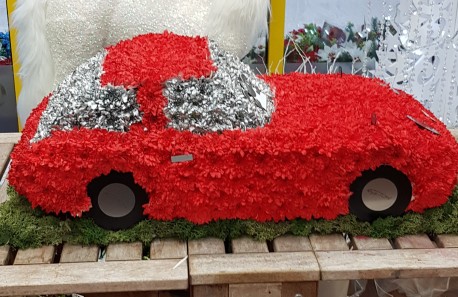 3D Red car