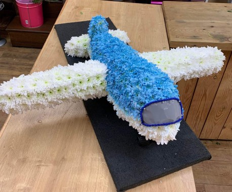 Floral aeroplane