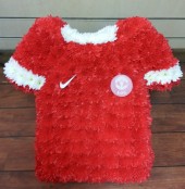 manchester united football shirt